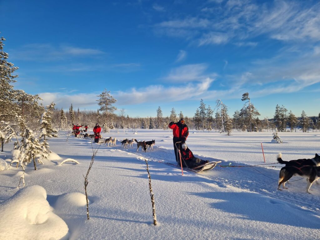 Koiravaljakoita aurinkoisessa talvikelissä