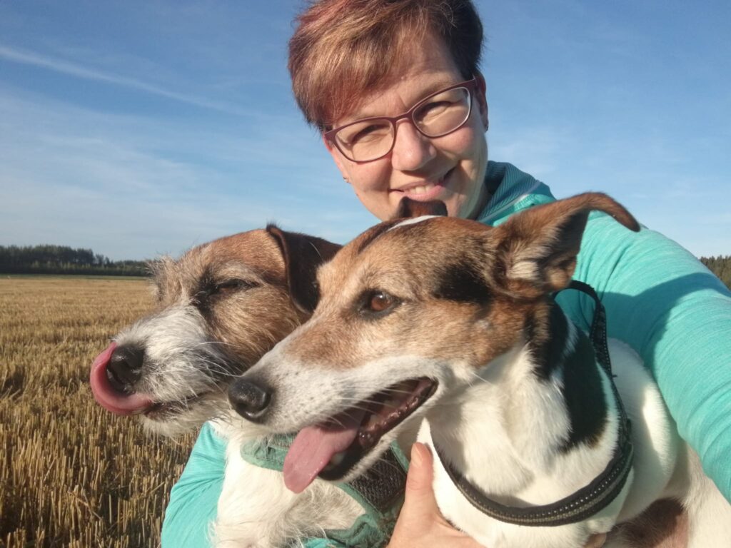 Terhi ja hänen kaksi russelia pellolla