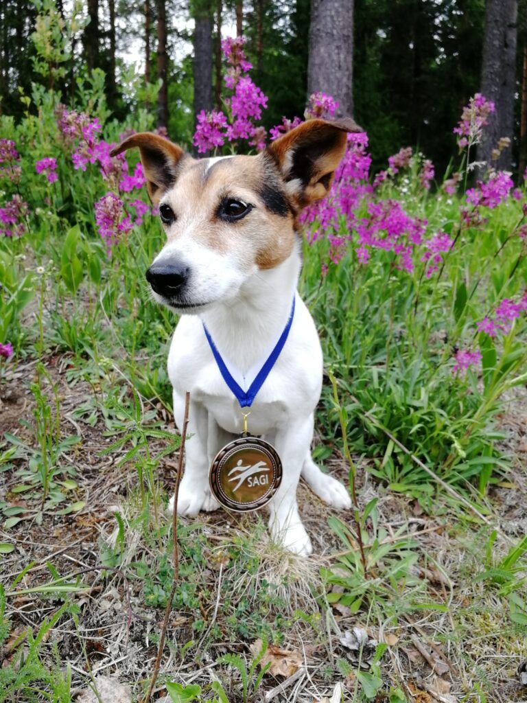 senioriSMpronssi_Tane