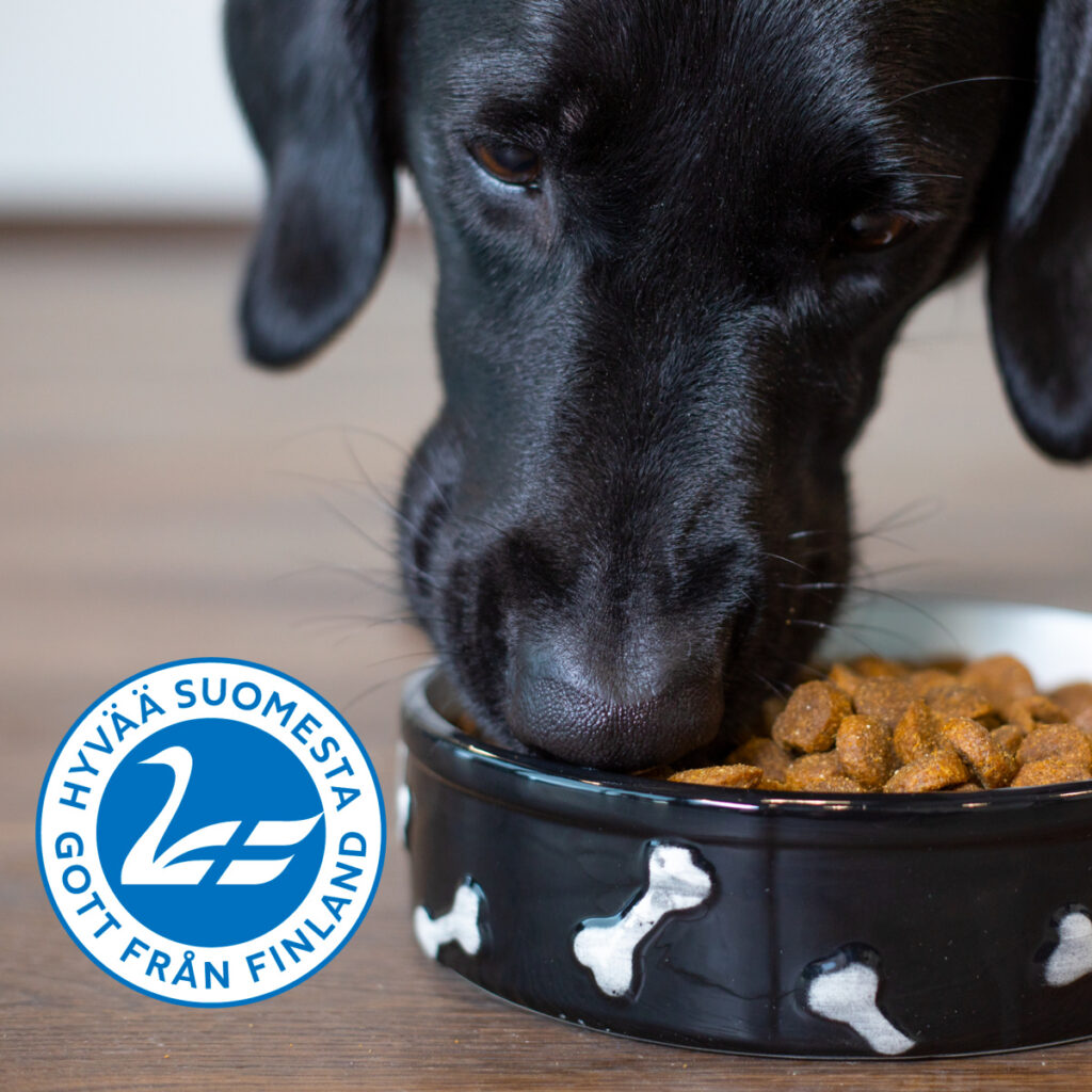 muusto koira syö ruokaa Hyvää Suomesta merkki