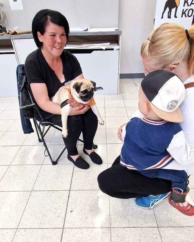 Mopsi omistajansa sylissä katsoo lasta