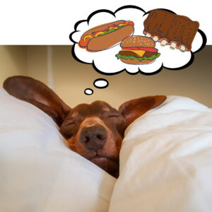 Koira näkee unta herkuista