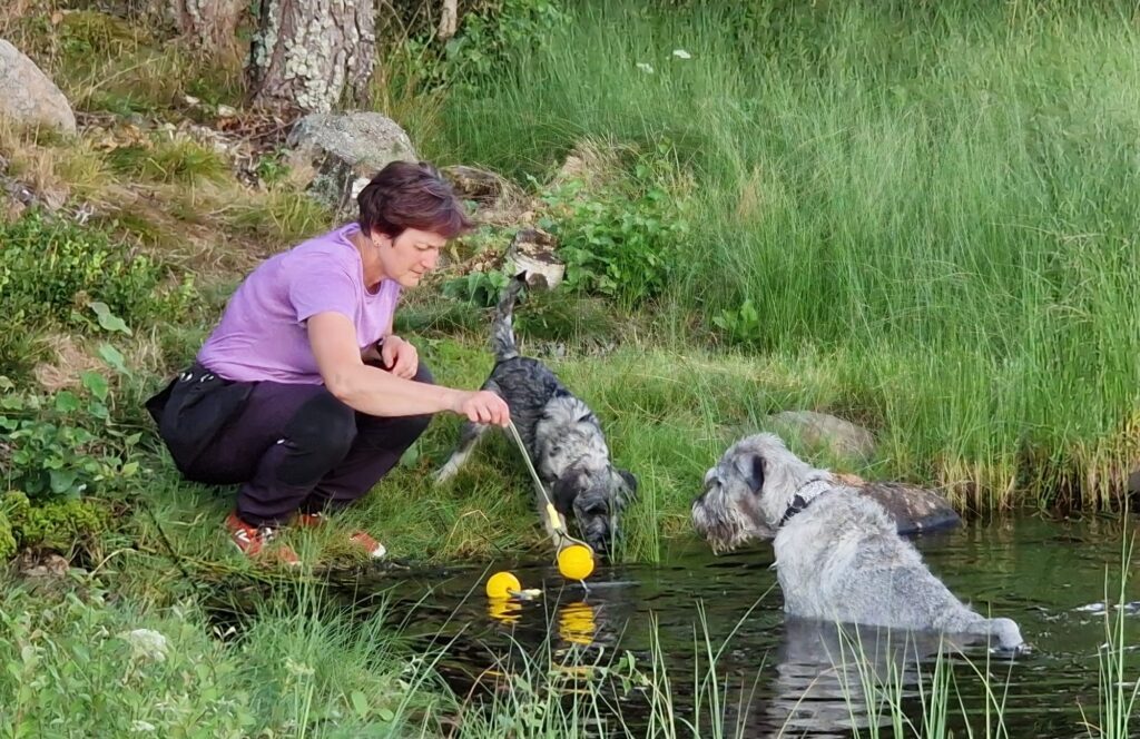 nainen rannalla kahden koiran kanssa